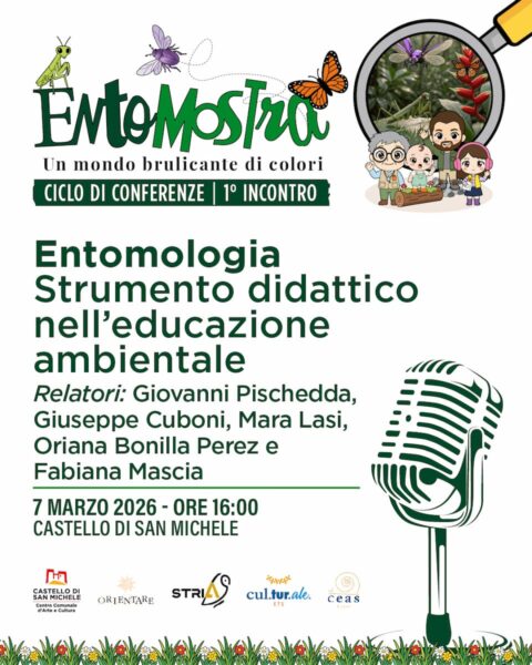 L’entomologia come strumento didattico nell’educazione ambientale