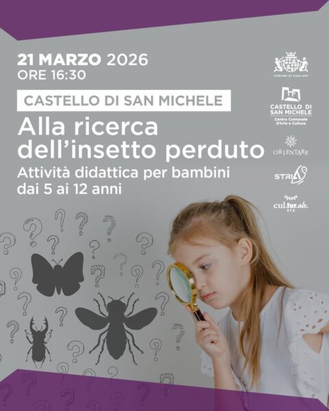 Alla ricerca dell'insetto perduto