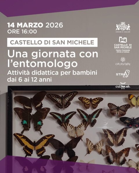 Una giornata con l'entomologo