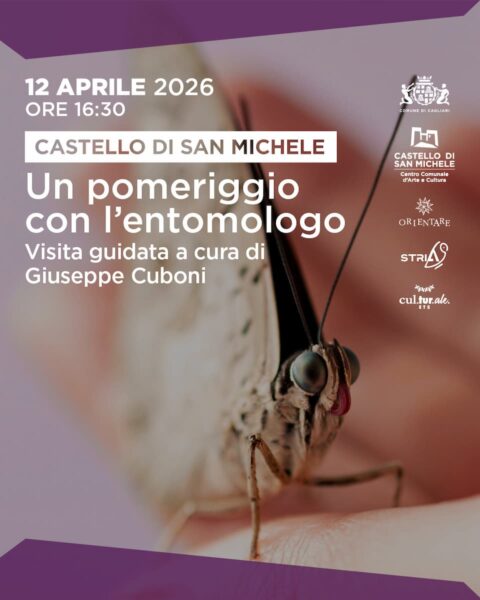 Un pomeriggio con l'entomologo