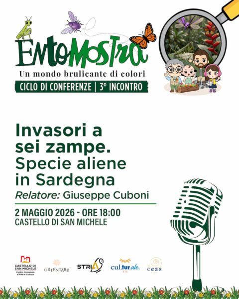 Invasori a sei zampe - Specie aliene in Sardegna