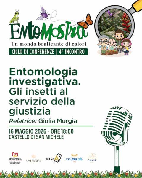 Entomologia investigativa - Gli insetti al servizio della giustizia