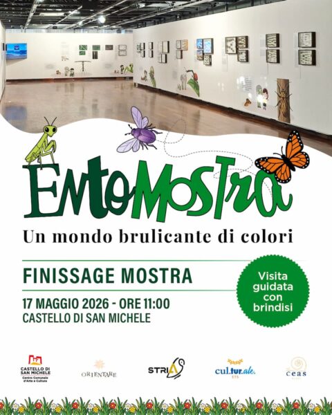 Finissage Entomostra