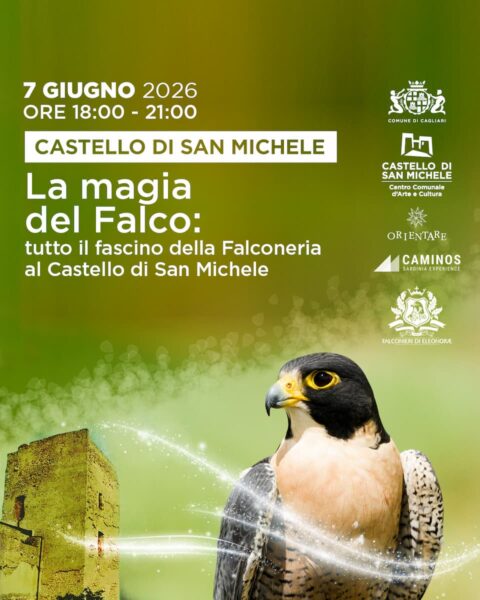 La magia del falco - giugno 2026